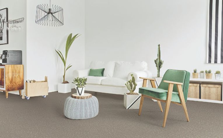 subtle & sleek carpet